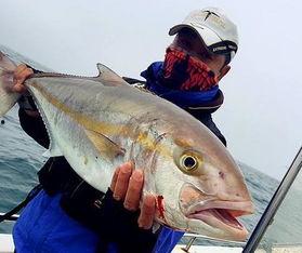 吃瓜网红鱼神图片,网红界的“瓜王”诞生