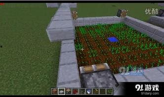 亚洲农场建设视频,现代化农业的崛起之路