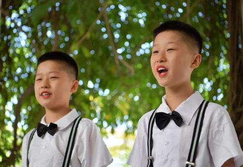 在线强无码,在线强无码技术的创新与应用