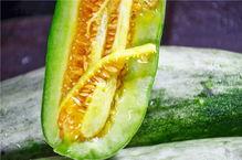 网红锤健身吃瓜,揭秘健身圈吃瓜背后的真相